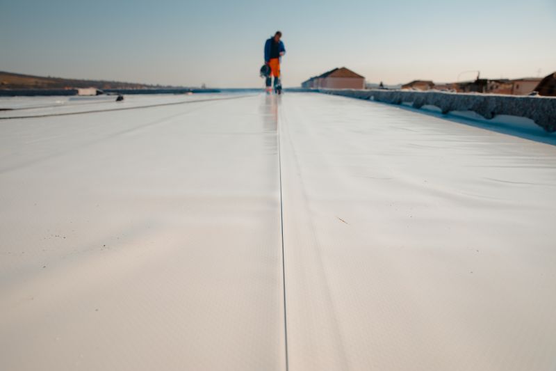 Local Roof Membrane Repair pros at work